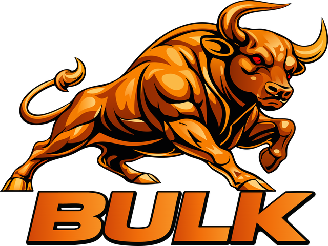 BULK 3D STUDIO